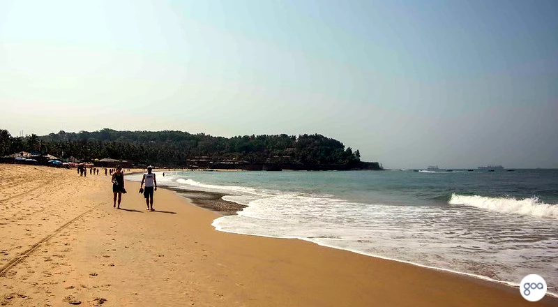 candolim beach